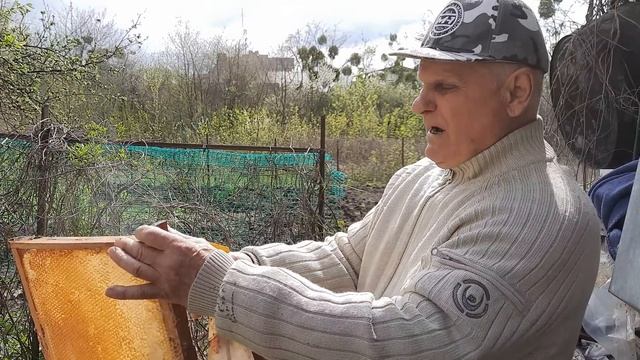 Уход за пчелами в середине весны