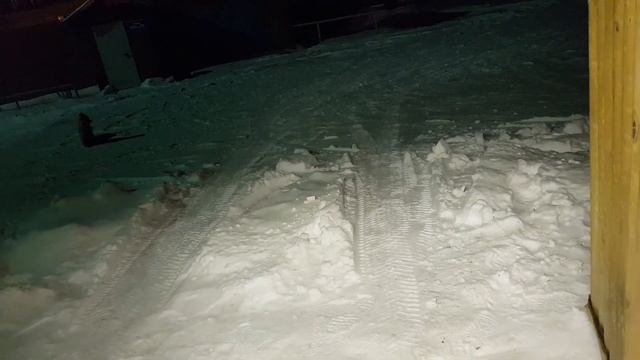 Лиса в Ноябрьске на промзоне. Любит шоколадные вафли Яшкино!? смотреть онлайн