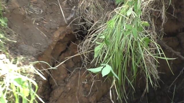 Ремонт старого колодца. смотреть онлайн