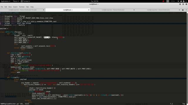 DATA Ex-Filtration - NIDS Bypass - Transfering shellcode using ARP packets (Python Raw sockets demo смотреть онлайн