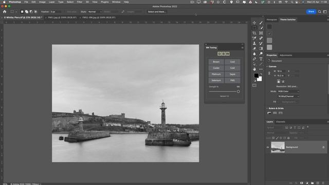 Black And White Toning Photoshop Plugin