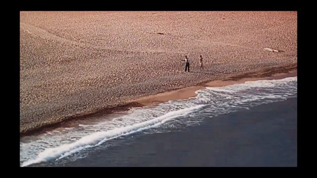 The World We Knew - Frank Sinatra #avagardner #retro #50s #franksinatra