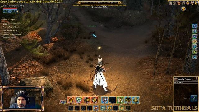 Shroud of the Avatar - Animal Taming - Basics - 101 смотреть онлайн