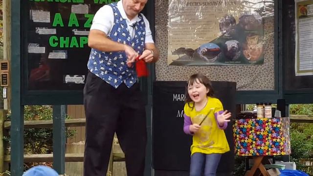 Sophie the Magician's Assistant смотреть онлайн