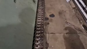 Ремонт и техническое обслуживание вездехода МТЛБ (У) фирмы Гиртэк (Питер)