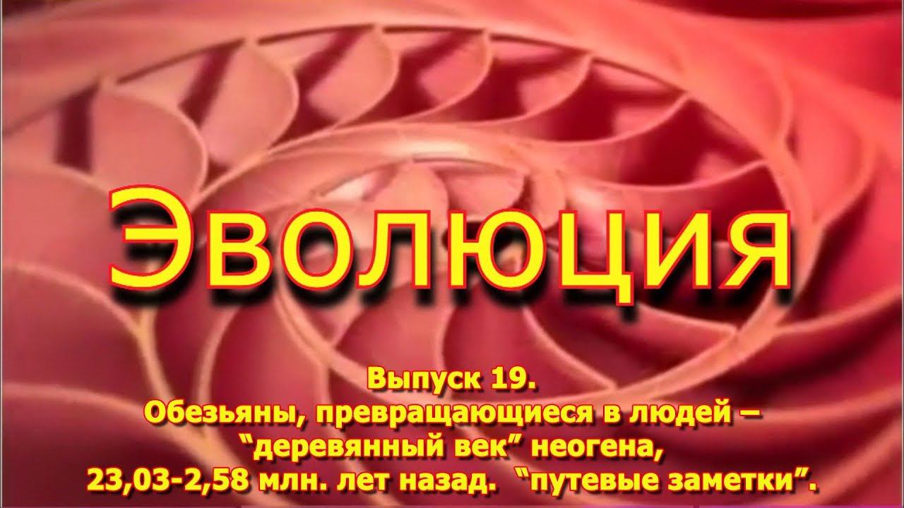 Обезьяны, превращающиеся в людей – «деревянный век» неогена. 23,03 – 2,58 млн. лет назад смотреть онлайн