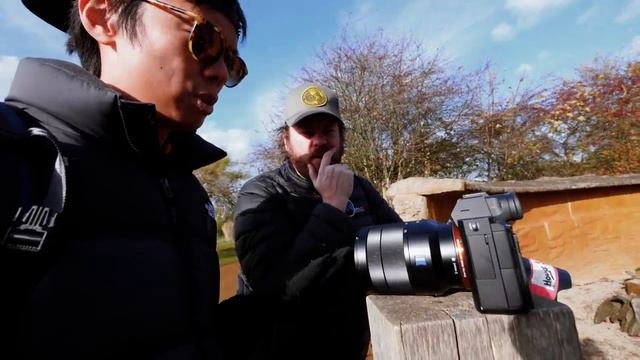 Nikon Z6 - Лучшая универсальная доступная полнокадровая беззеркалка