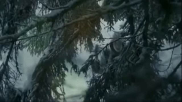 Волчица смотреть онлайн