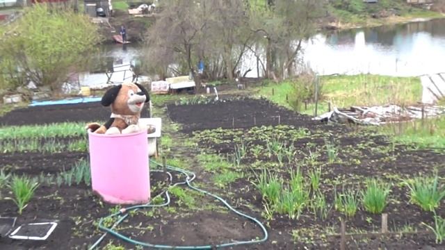 как обжечь чугунный казан/самодельная печька под казан смотреть онлайн