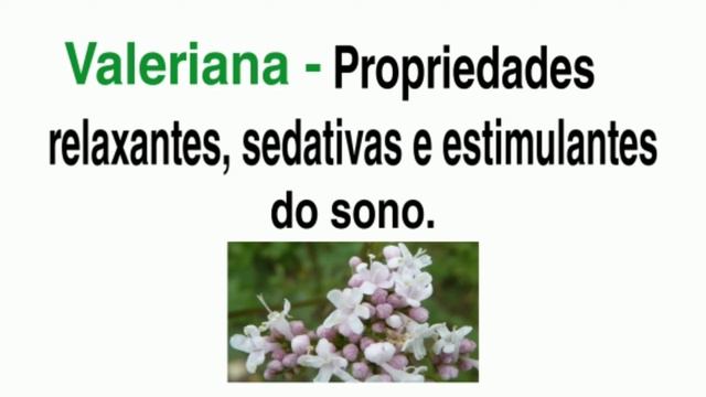 Chá do Sono Funciona Mesmo? Vale a pena? Chá para Dormir, chá do sono, onde Comprar! смотреть онлайн