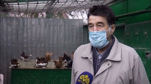 Птицевод из Петропавловска уже 60 лет разводит голубей смотреть онлайн