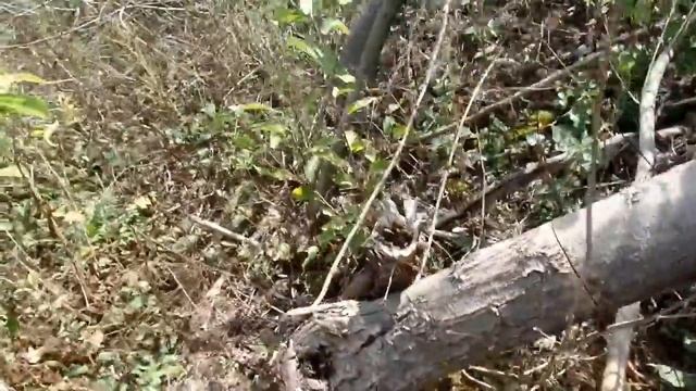 Добыча материала совковым методом для канала дедовский метод