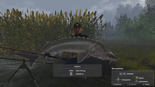 🔴Fishing Planet🔴釣魚星球✅р. Ахтуба🐠бклуга🐠сом🐠судак☑️ смотреть онлайн