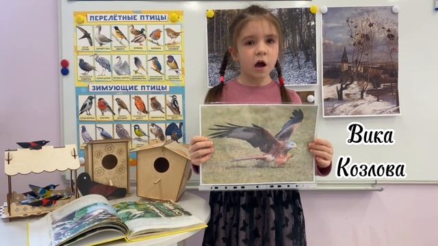 Перелетные и зимующие птицы для детей