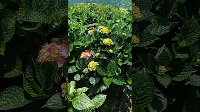 1 июля 2023 г. смотреть онлайн