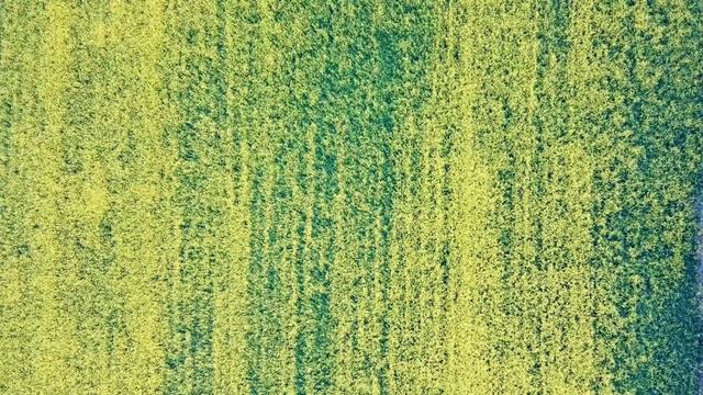 1時間名曲集：Spring Classical Music ～ 春のクラシック【春を感じるお出かけ、お花見、休憩タイムのBGM】 смотреть онлайн