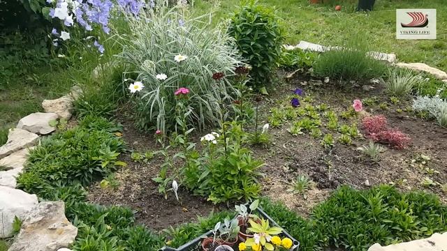 #326 Сад мечты за три года/Переезд из Латвии в Россию/Краснодарский край/село Молдаванское/Лефкадия смотреть онлайн