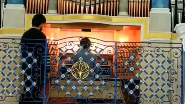 Золотухин Лев и Ливадийский орган смотреть онлайн