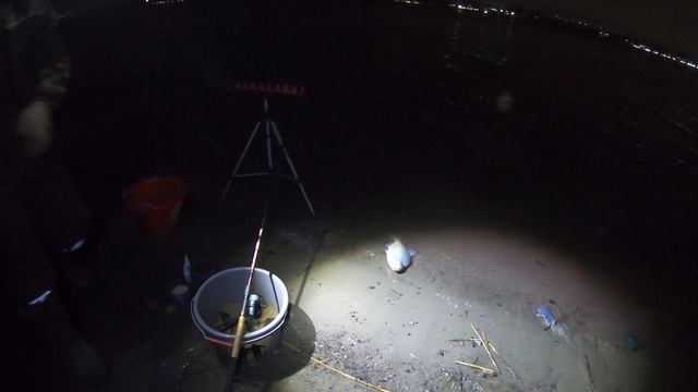 ЗИМНИЙ ФИДЕР НА ДОНУ. РЫБАЛКА В ОКРЕСТНОСТИ ГОРОДА. С ПОГОДОЙ НЕ ПОСПОРИШЬ. РЫБАЛКА УДАЛАСЬ. смотреть онлайн