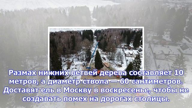 Главную новогоднюю елку в кремле нарядят 21 декабря смотреть онлайн