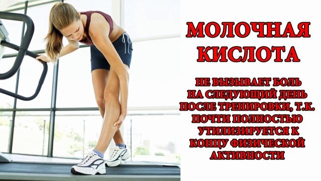 L-аланин и Beta-аланин какая разница?