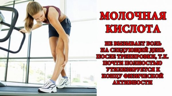 L-аланин и Beta-аланин какая разница?