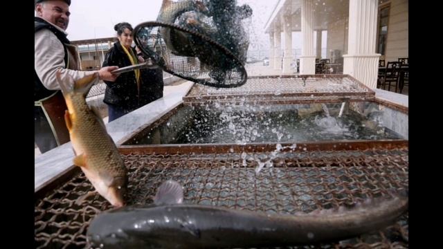 Город Ургенч.Xorazm Urganch Bo'ylab Sayohat[ENG SUB]