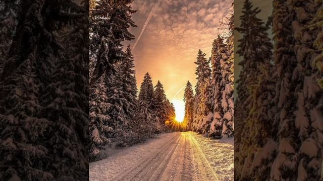 Звуки природы, пение птиц, Звуки Леса, для релаксации, сна, Медитации, Relax смотреть онлайн