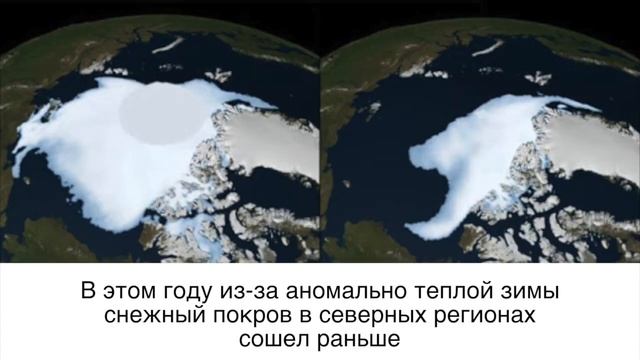 Жара в Сибири: причины и последствия: новости глобальное потепление смотреть онлайн
