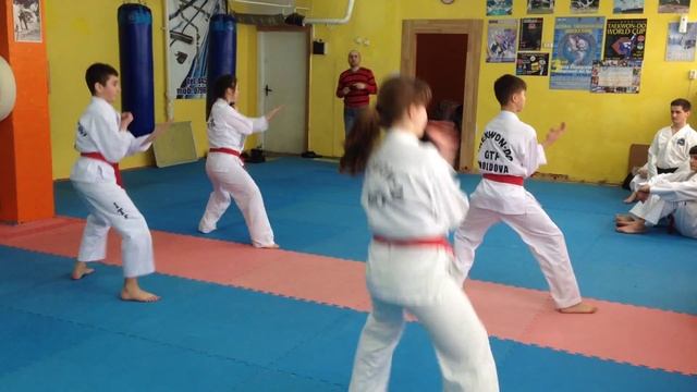 Taekwon-do GTF (examen 1 Dan) Hvanghe Tull смотреть онлайн