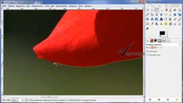 Как сделать картинку на белом и прозрачном фоне! ИЗОЛЯТЫ! Gimp уроки. смотреть онлайн