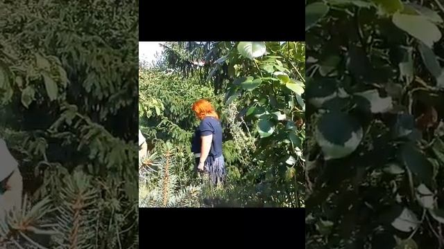 МИСТЕРИЯ МЕДОВОГО СПАСА в УНИВЕРСОЛИСЕ.Праздник ВОЗДВИЖЕНИЯ ХРАМА ЖИЗНИ к 8-у месяцу года(Скорпиону