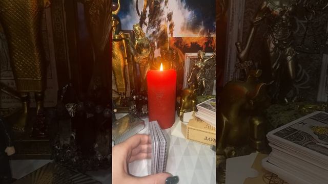 Виктория Романовна в прямом эфире!ПОГОВОРИМ смотреть онлайн