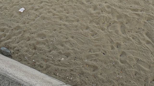 PRZESTRASZYŁA NAS - TURCJA 2022 ALANYA смотреть онлайн