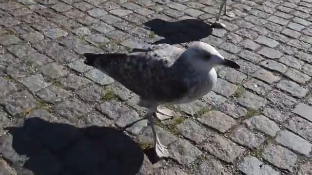 Швеция   Стокгольм   Sweden   Stockholm