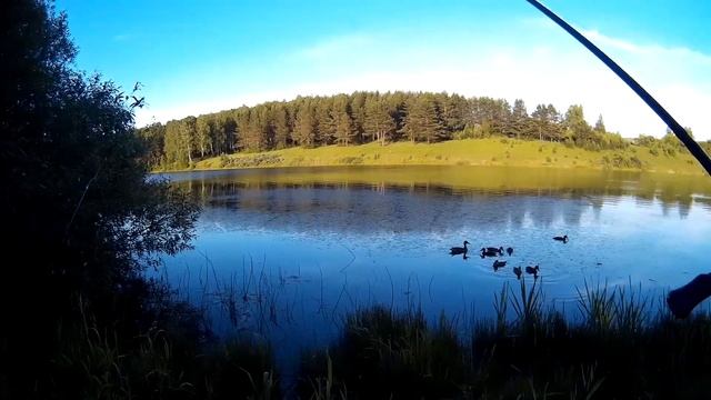 Сибирский басс )) А рыбку то я поймал! смотреть онлайн