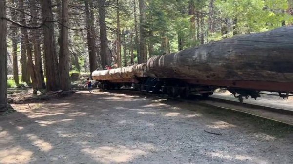 Yosemite Mountain Sugar Pine Railroad | Logger Steam Train and Gold Rush City Gold Panning