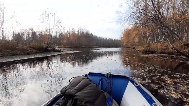 ГДЕ ВОДА!? Ходим на мелководном режиме ПВД Кудьма Корода #SeaPro 8 #Mercury 4 Архангельская область