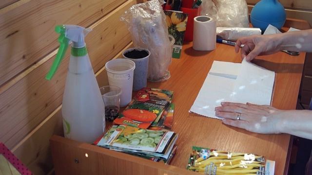 РАССАДА ПО МОСКОВСКИ СЕЕМ ТЫКВУ,КАБАЧКИ, ДЫНИ , , АРБУЗЫ! смотреть онлайн