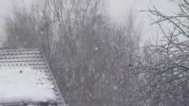 Как прекрасен этот мир!