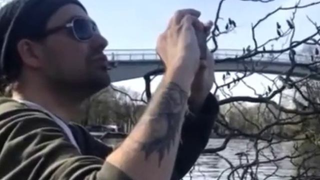 Дора Люкс. Как сильно я люблю тебя. Стих ( посвящено Дэвид Гарретту) #davidgarrettmusik