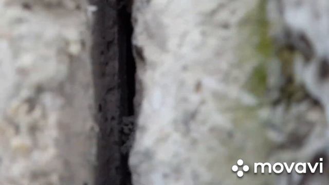 Утепление межпанельных швов. смотреть онлайн