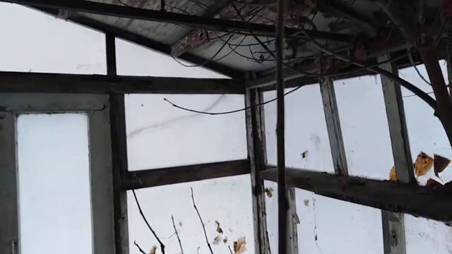 теплица с южными плодовыми культурами . Обзор зимовки на январь 2022 г. смотреть онлайн