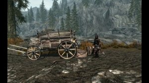 Skyrim  Прикол 31
