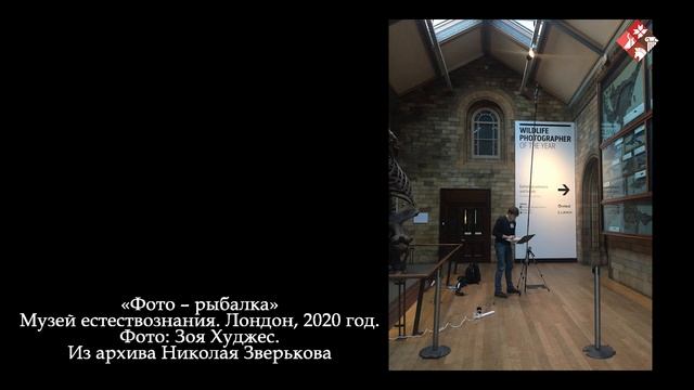 Видеорассказ по фотовыставке «Палеонтолог как профессия» смотреть онлайн