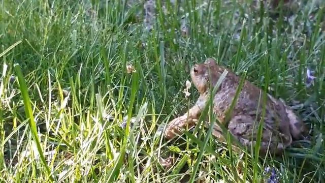 Мастерство и Креативность