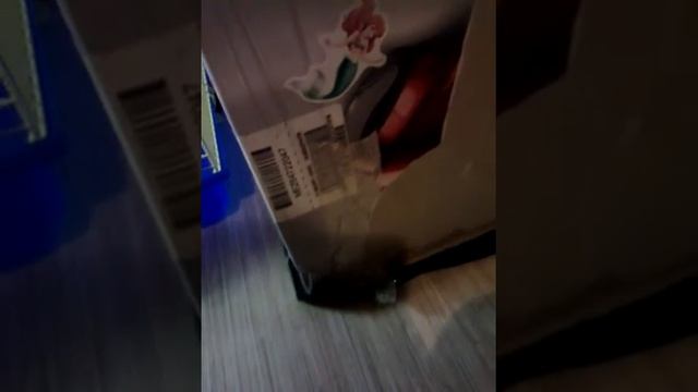 Дрессировка хомяка .часть 1 смотреть онлайн