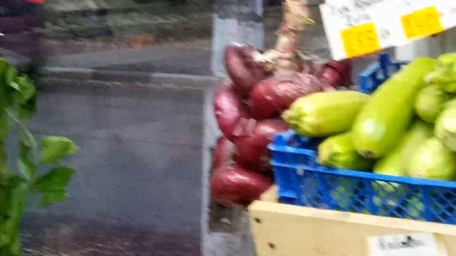 кабачки и россия - басню читает Путькин смотреть онлайн