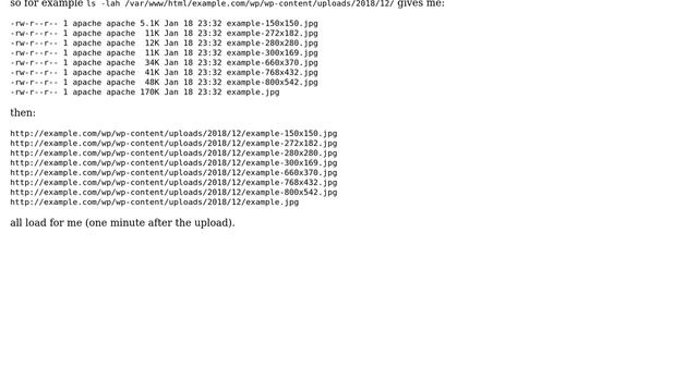 Wordpress: Media Library Latency, Lag, CRON? смотреть онлайн