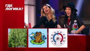Где логика?: Дмитрий Позов и Сергей Матвиенко vs. Даша Ролик и Баина Басанова - Пятый раунд